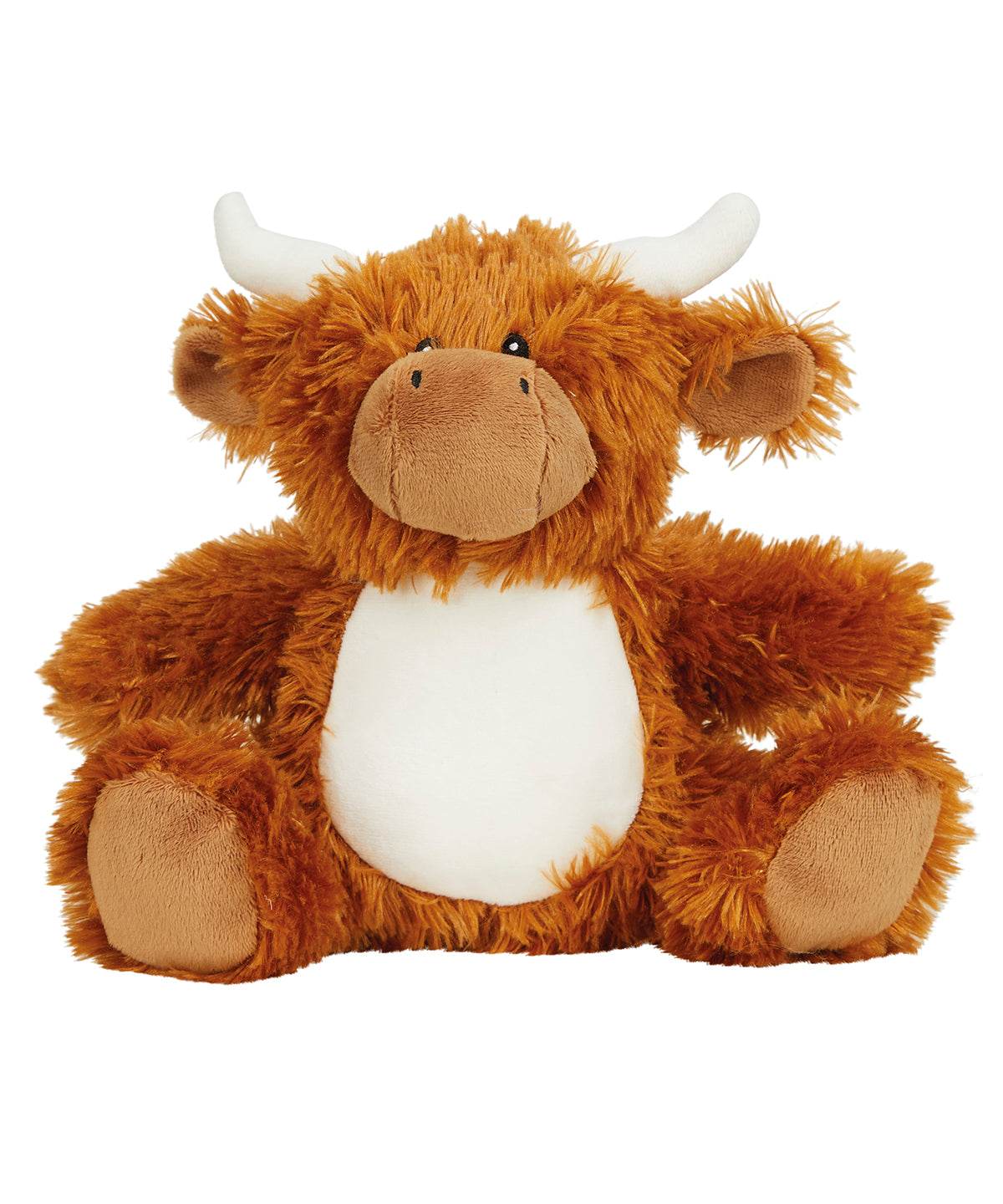 Personalised teddy