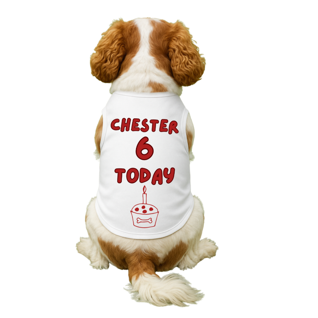 Dog vest / pet vest