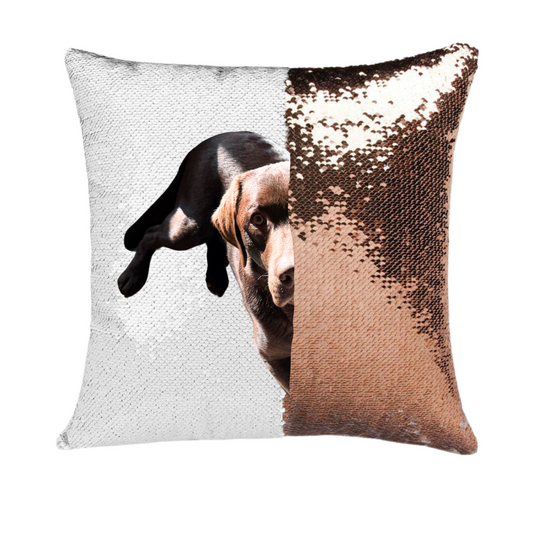 Sequin cushion