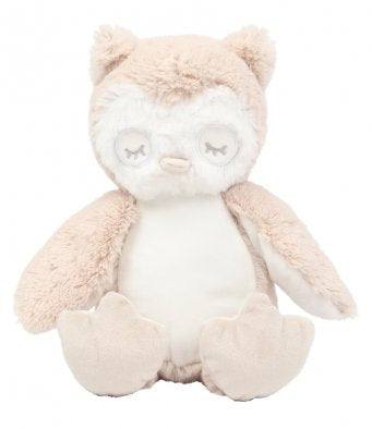 Personalised teddy